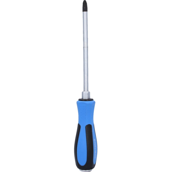 FOT_PRO_VAR_BT031047.1_SALL_AING_V1