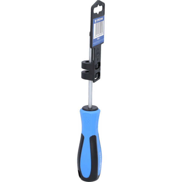 FOT_PRO_VAR_BT031044.5_SALL_AING_V1