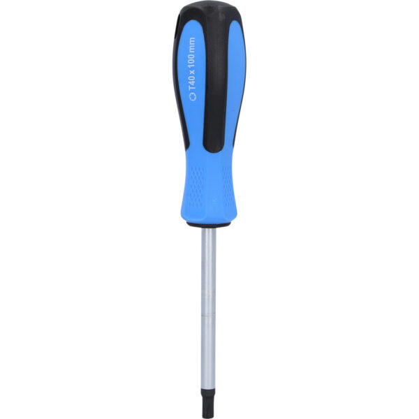 FOT_PRO_VAR_BT031042.2_SALL_AING_V1