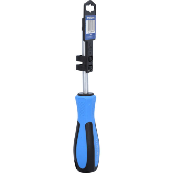 FOT_PRO_VAR_BT031042.5_SALL_AING_V1