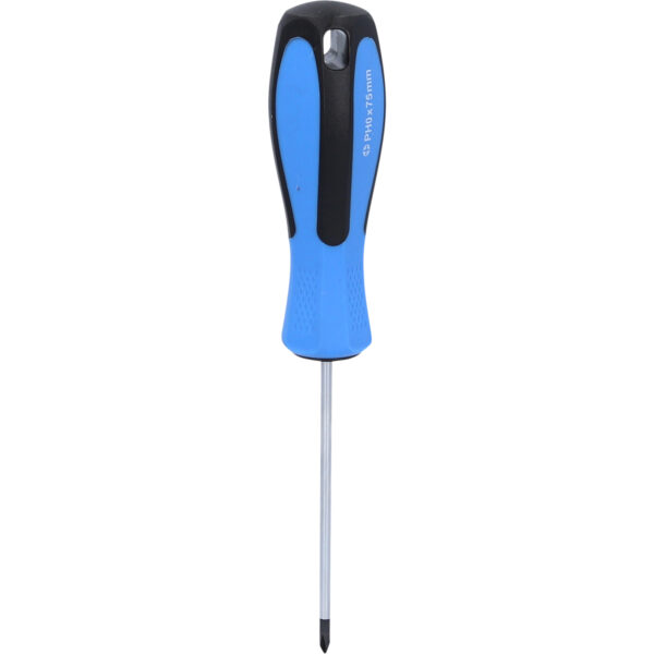 FOT_PRO_VAR_BT031035.1_SALL_AING_V1