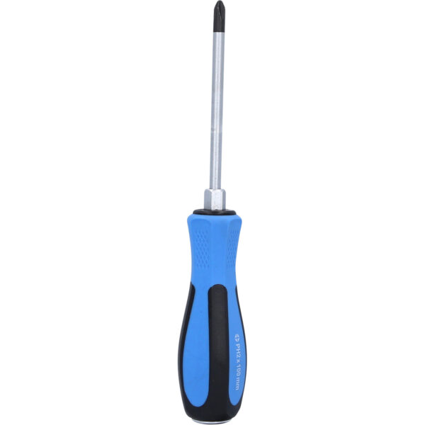 FOT_PRO_VAR_BT031024.1_SALL_AING_V1