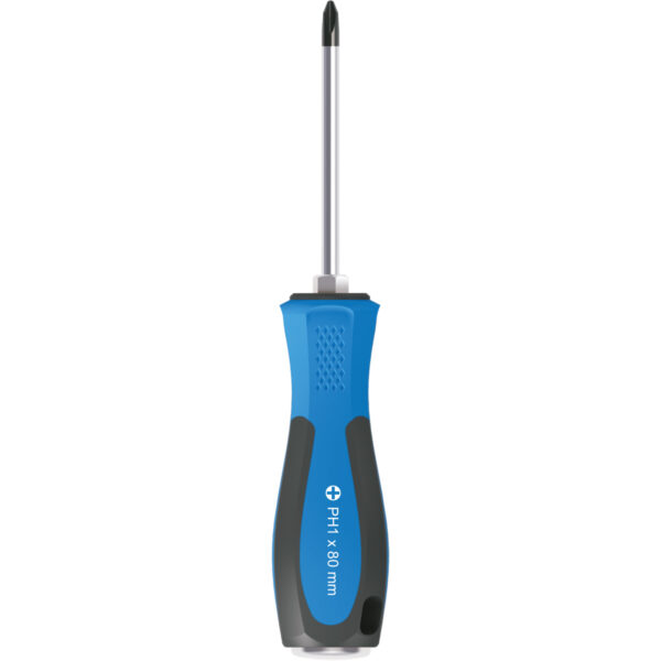 FOT_BT_VAR_BT031023.1_SALL_AING_V1