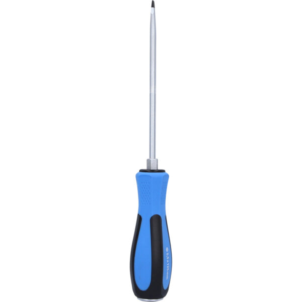 FOT_PRO_VAR_BT031021.1_SALL_AING_V1