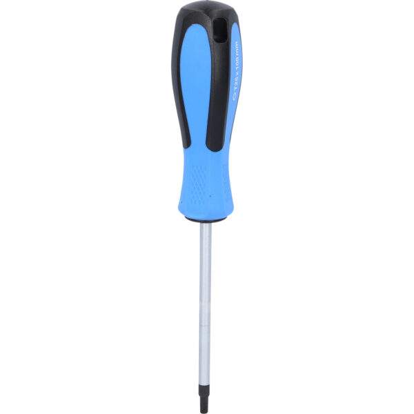 FOT_PRO_VAR_BT031014.1_SALL_AING_V1