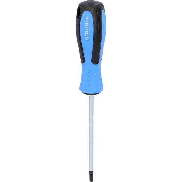 FOT_PRO_VAR_BT031013.2_SALL_AING_V1