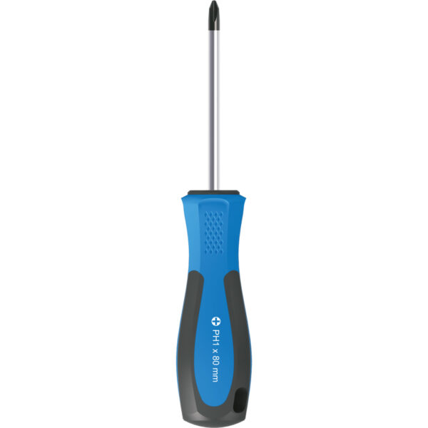 FOT_BT_VAR_BT031006.1_SALL_AING_V1