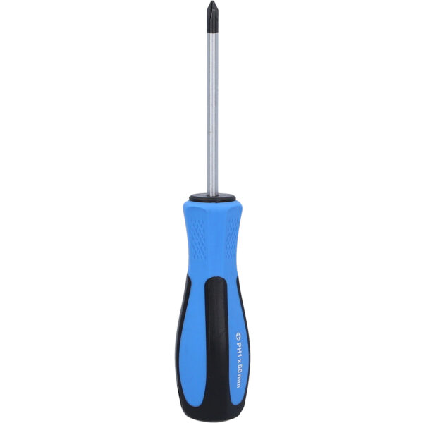 FOT_PRO_VAR_BT031006.1_SALL_AING_V1