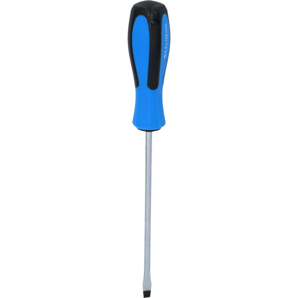 FOT_PRO_VAR_BT031005.1_SALL_AING_V1