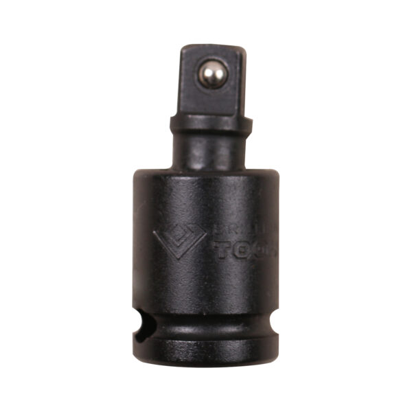 FOT_PRO_VAR_BT024603.1_SALL_AING_V1