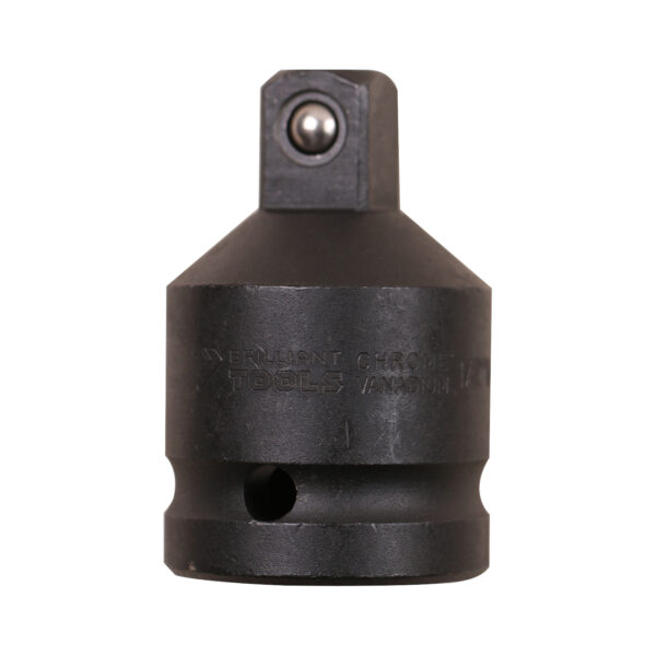 FOT_PRO_VAR_BT024605.1_SALL_AING_V1