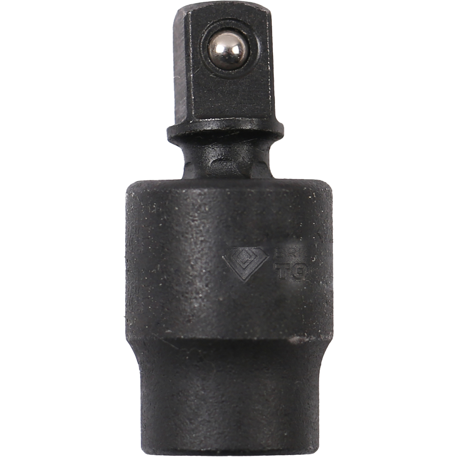 FOT_PRO_ALG_BT024601_SALL_AING_V1