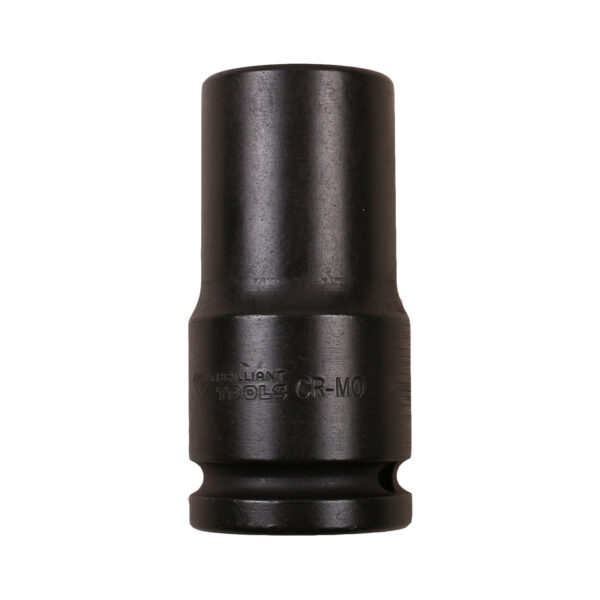 FOT_PRO_VAR_BT025600.1_SALL_AING_V1