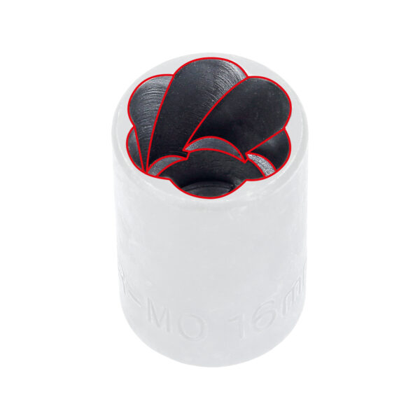 FOT_PRO_VAR_BT026000.14_SALL_AING_V1