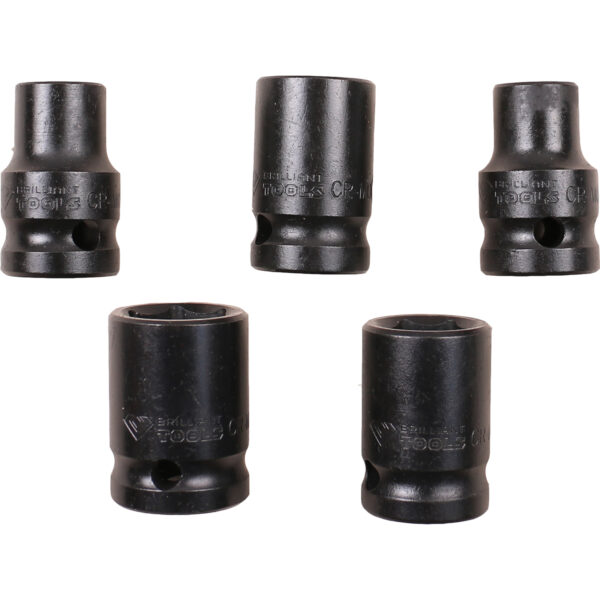 FOT_PRO_VAR_BT022620.1_SALL_AING_V1