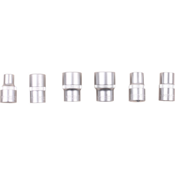 FOT_PRO_VAR_BT022405.1_SALL_AING_V1