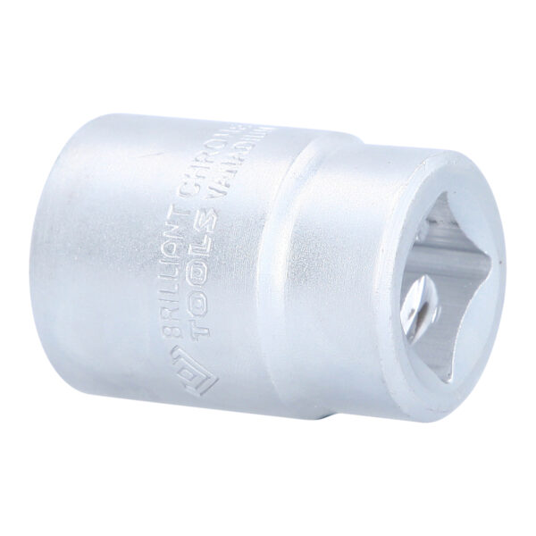 FOT_PRO_VAR_BT025928.1_SALL_AING_V1