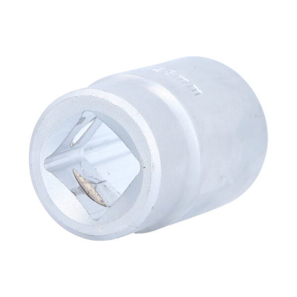 FOT_PRO_VAR_BT025928.2_SALL_AING_V1