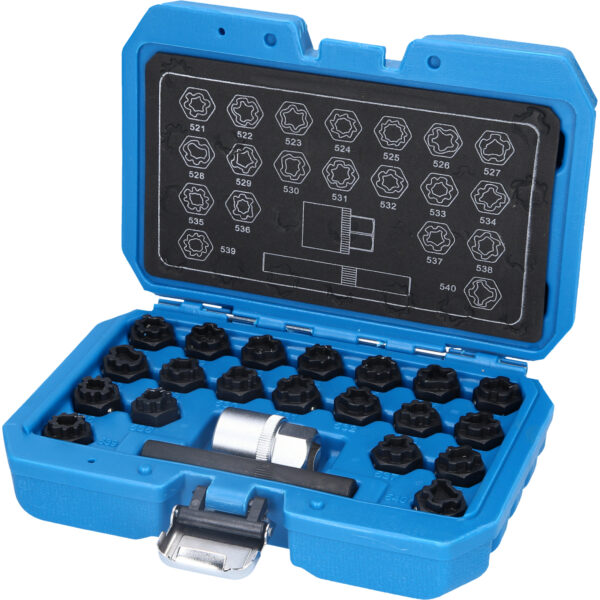 FOT_PRO_VAR_BT691390.1_SALL_AING_V1