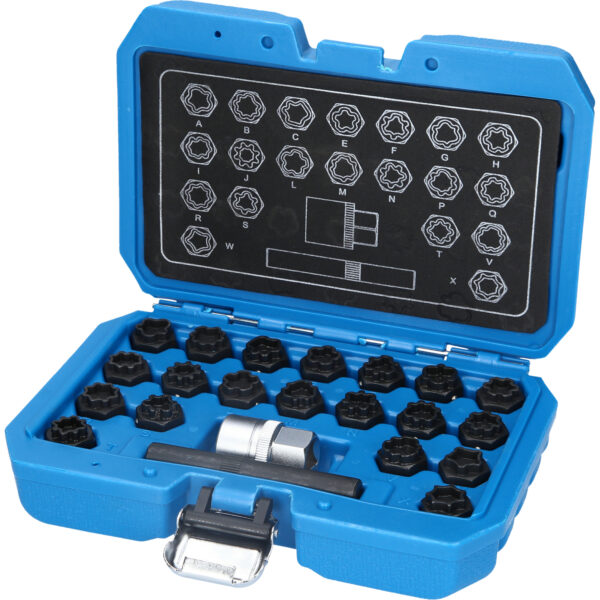 FOT_PRO_VAR_BT691360.1_SALL_AING_V1