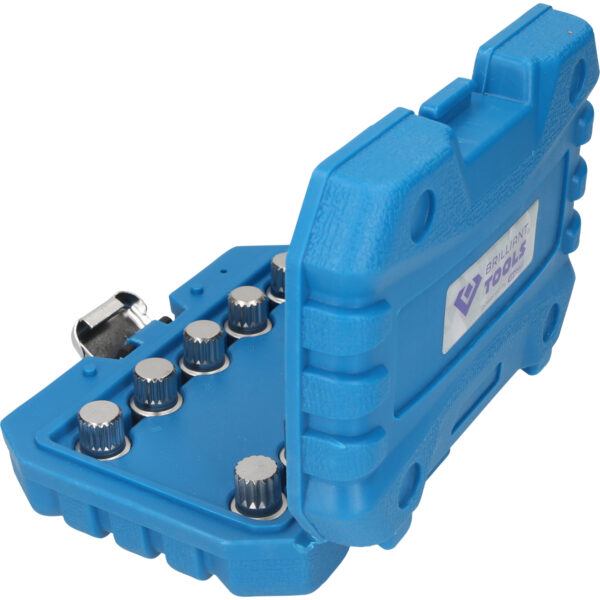 FOT_PRO_VAR_BT691310.1_SALL_AING_V1