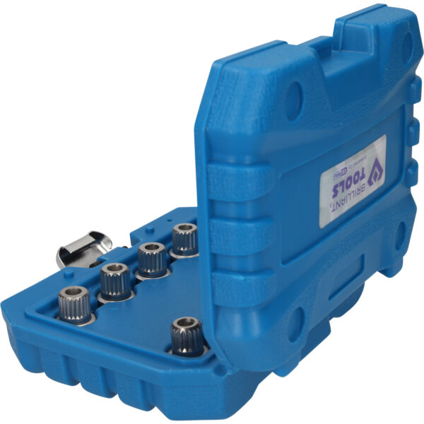 FOT_PRO_VAR_BT691290.1_SALL_AING_V1