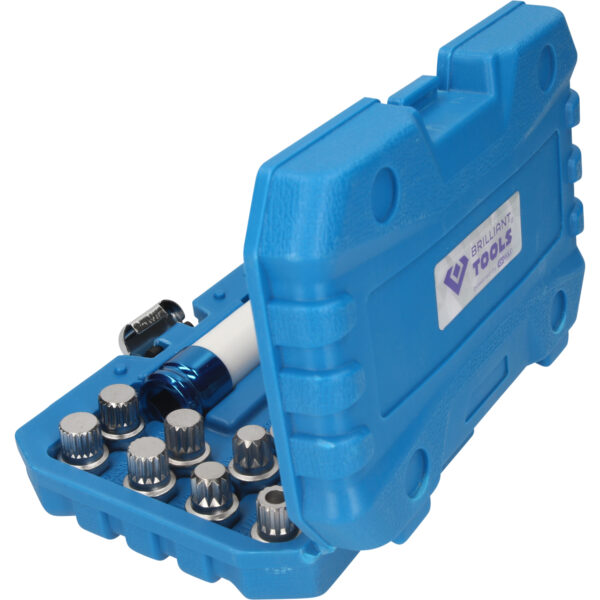 FOT_PRO_VAR_BT691260.1_SALL_AING_V1