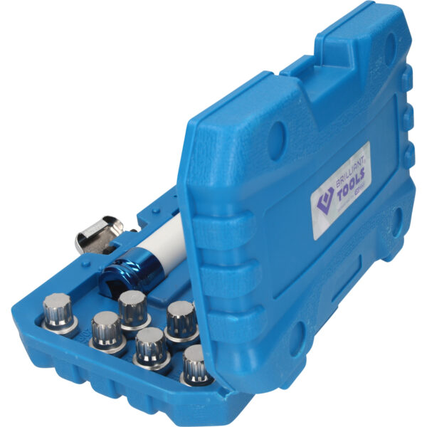 FOT_PRO_VAR_BT691230.1_SALL_AING_V1