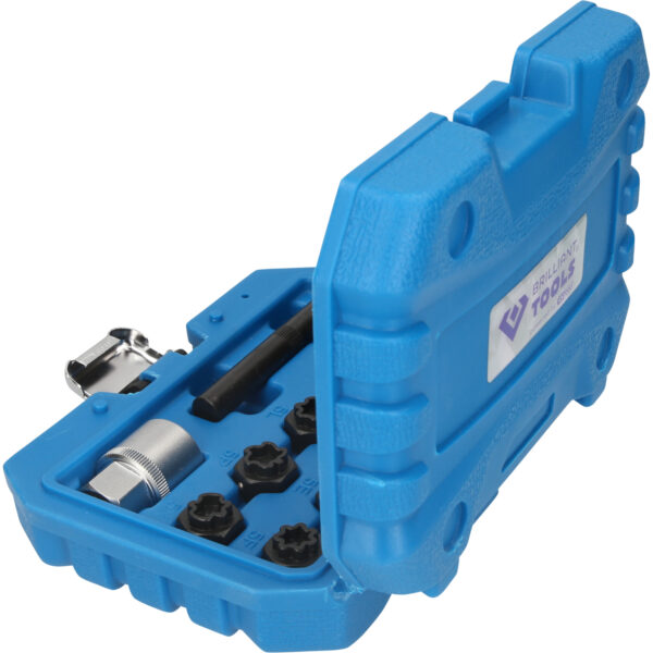 FOT_PRO_VAR_BT691210.1_SALL_AING_V1