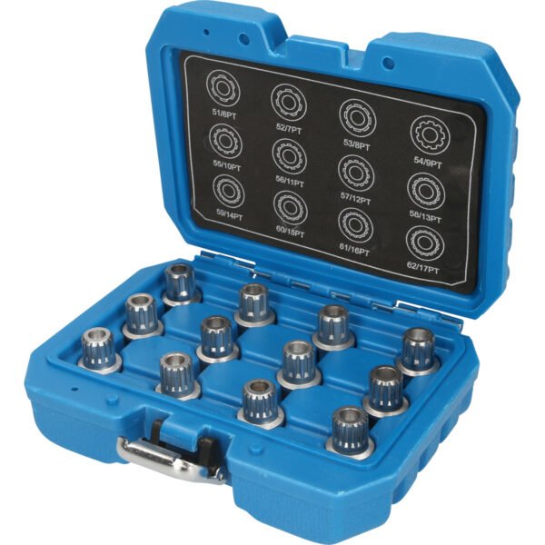 FOT_PRO_ALG_BT691190_SALL_AING_V1