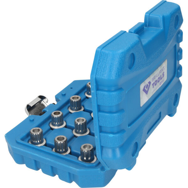 FOT_PRO_VAR_BT691190.1_SALL_AING_V1