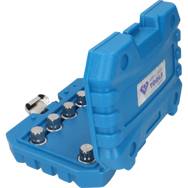 FOT_PRO_VAR_BT691170.1_SALL_AING_V1