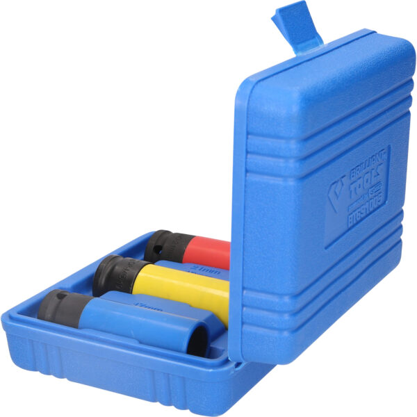 FOT_PRO_VAR_BT691005.1_SALL_AING_V1