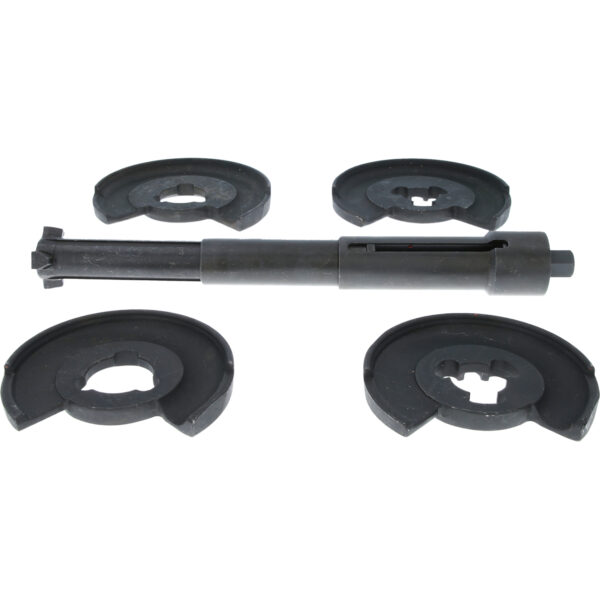 FOT_PRO_VAR_BT651010.1_SALL_AING_V1