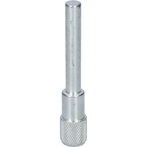 FOT_PRO_VAR_BT594653.1_SALL_AING_V1