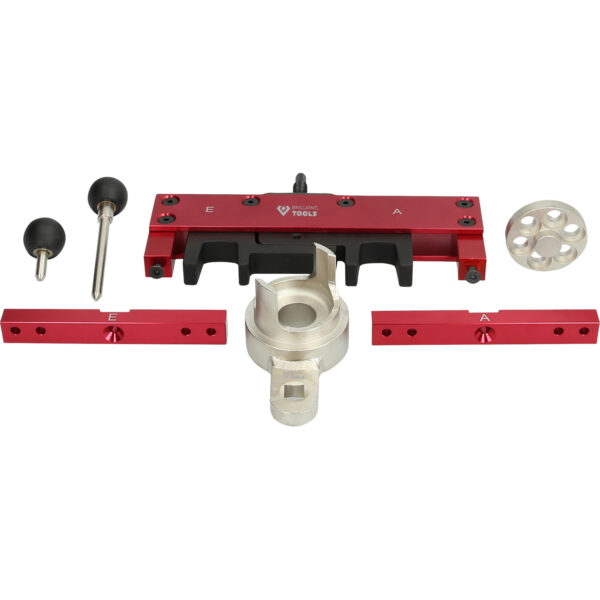 FOT_PRO_VAR_BT594420.1_SALL_AING_V1