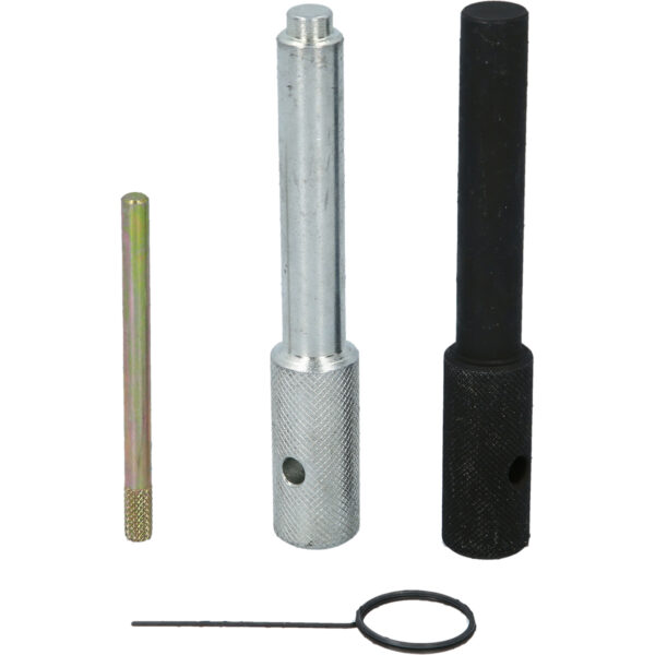 FOT_PRO_VAR_BT592870.1_SALL_AING_V1