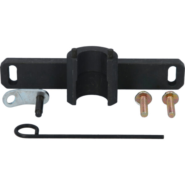 FOT_PRO_VAR_BT591860.1_SALL_AING_V1