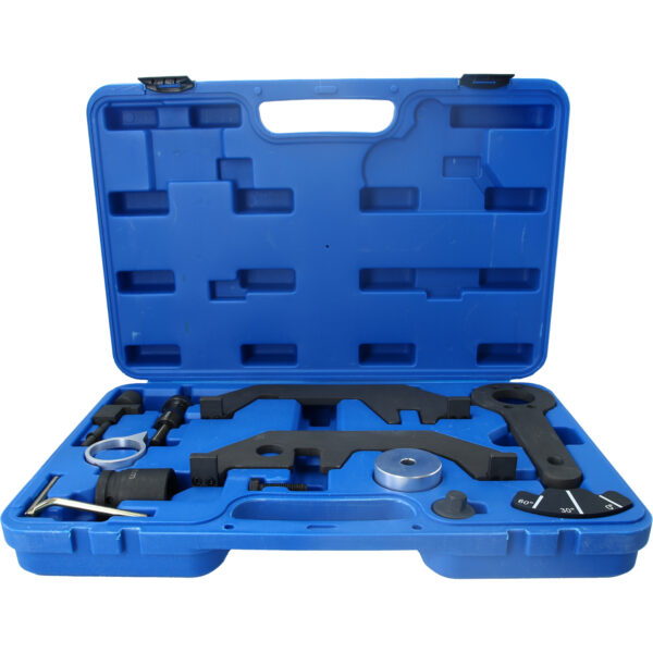 FOT_PRO_VAR_BT591810.1_SALL_AING_V1