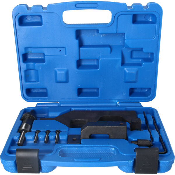 FOT_PRO_VAR_BT591520.1_SALL_AING_V1