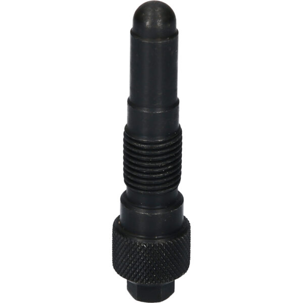 FOT_PRO_VAR_BT597806.1_SALL_AING_V1