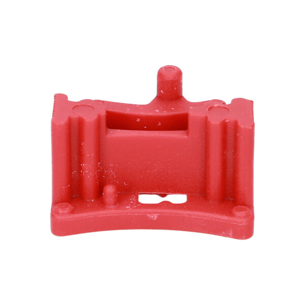 FOT_PRO_VAR_BT596006.1_SALL_AING_V1