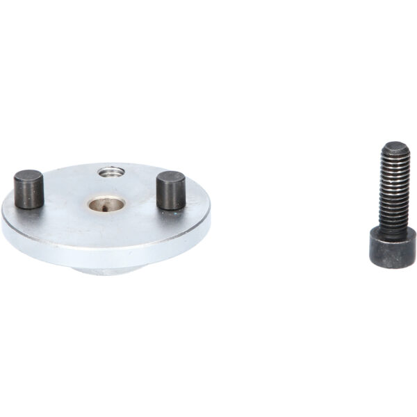 FOT_PRO_VAR_BT591085.1_SALL_AING_V1