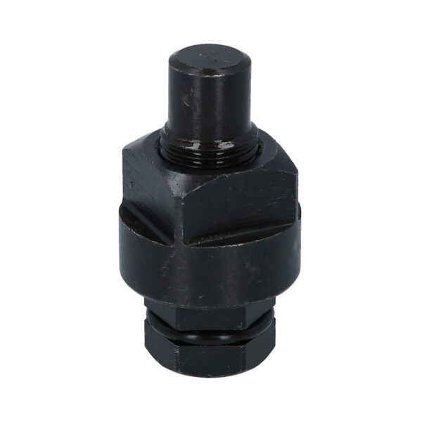 FOT_PRO_VAR_BT591084.1_SALL_AING_V1