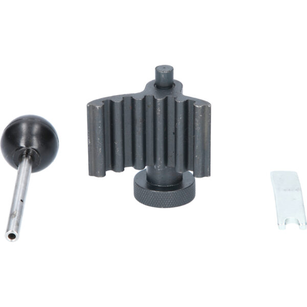 FOT_PRO_VAR_BT591080.1_SALL_AING_V1