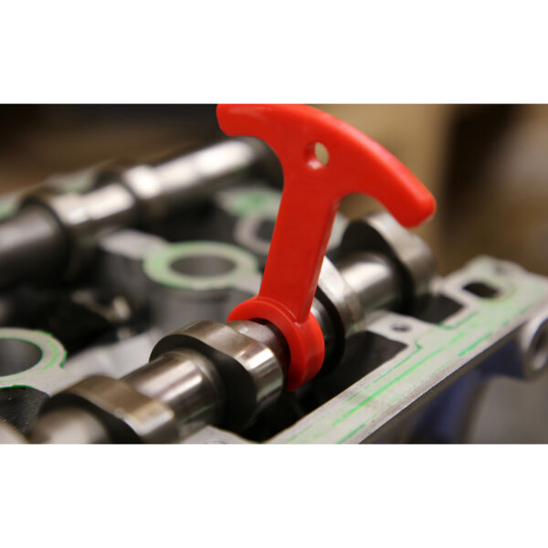 FOT_ANW_ALG_BT_BT591020.AW1_SALL_AING_V1