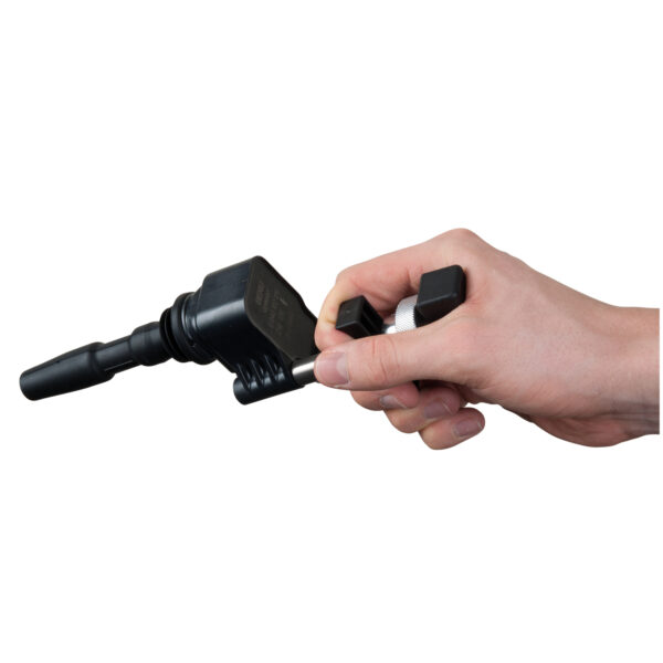 FOT_ANW_ALG_BT_BT561006.AW1_SALL_AING_V1