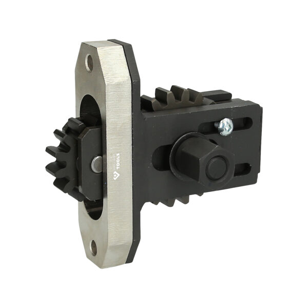 FOT_PRO_VAR_BT541062.1_SALL_AING_V1