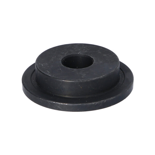 FOT_PRO_VAR_BT546003.1_SALL_AING_V1