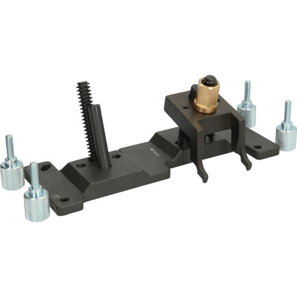 FOT_PRO_VAR_BT541060.1_SALL_AING_V1